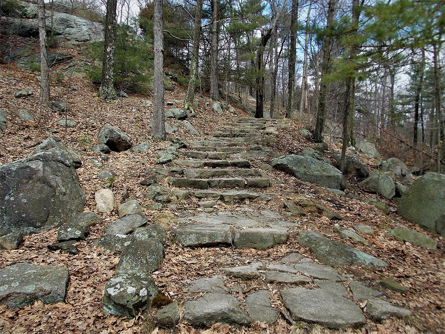 Steps in the Lynn Woods Photograph by Catherine Gagne - Pixels