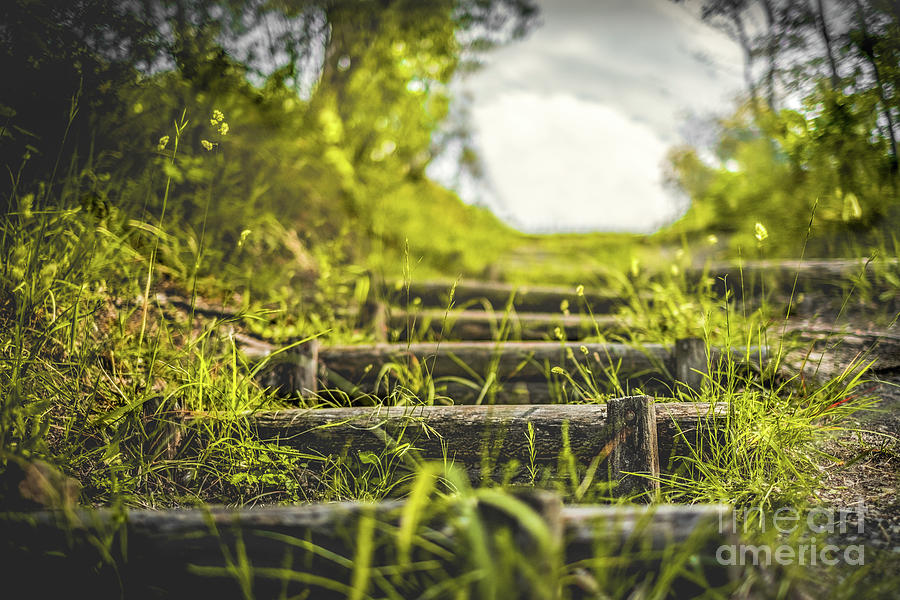 Nature Photograph - Steps In The Nature Country Trail Landscapes Background by Luca Lorenzelli