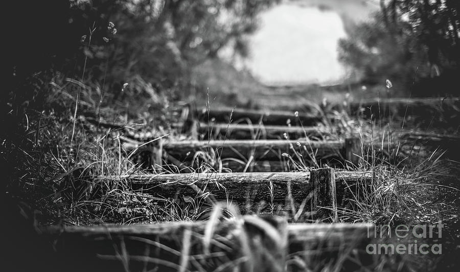 Nature Photograph - Steps In The Nature Country Trail Landscapes Black And White Background Horizontal by Luca Lorenzelli