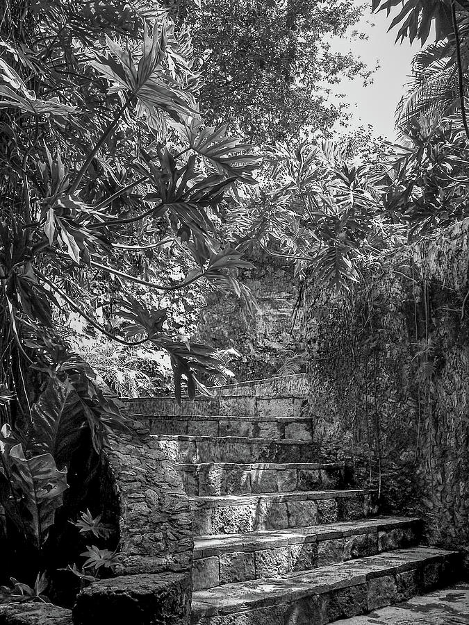 Steps Near Cenote Chichen Itza Photograph by Frank Mari
