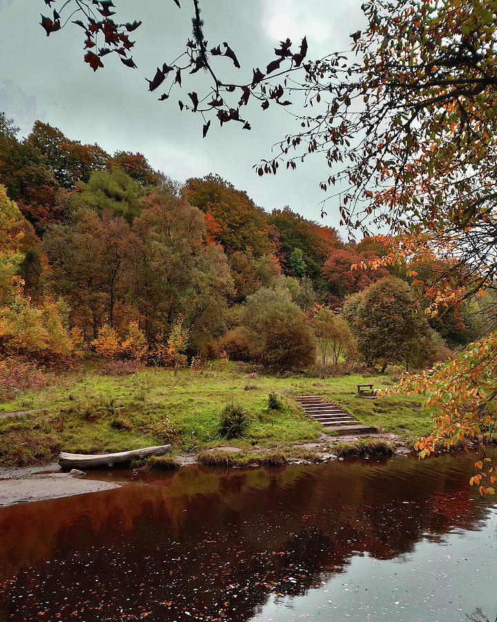 Landscape Photograph - Steps Next To The River In Autumn by David Gallie Landscape Photograph - Steps Next To The River In Autumn by David Gallie
