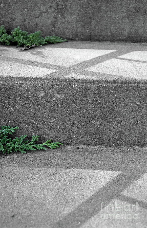 Pattern Photograph - Steps by Nicki Hoffman Pattern Photograph - Steps by Nicki Hoffman