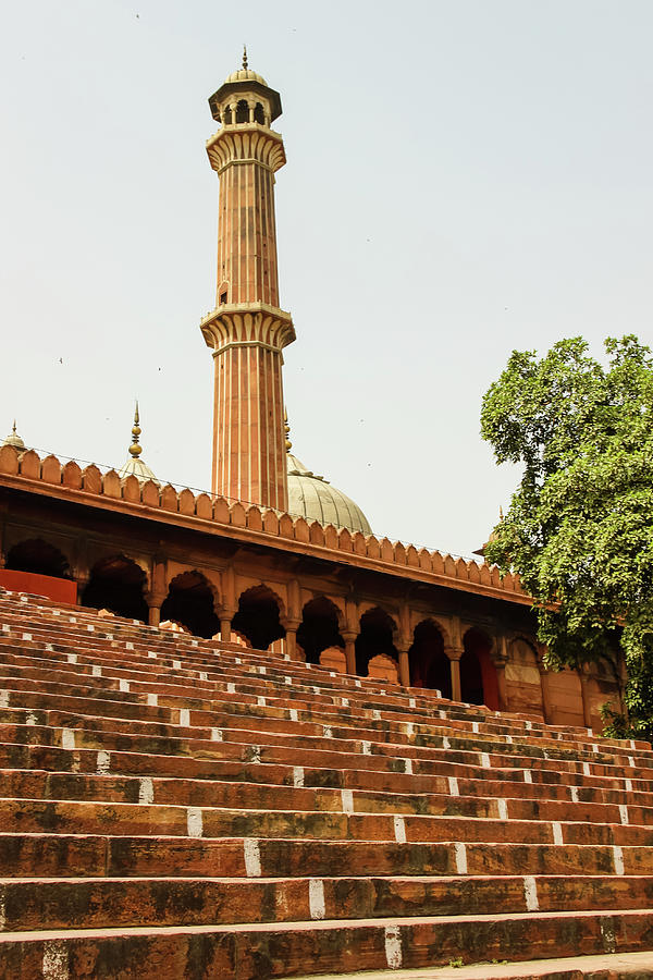 Steps of Jama Masjid, Delhi Photograph by Aashish Vaidya