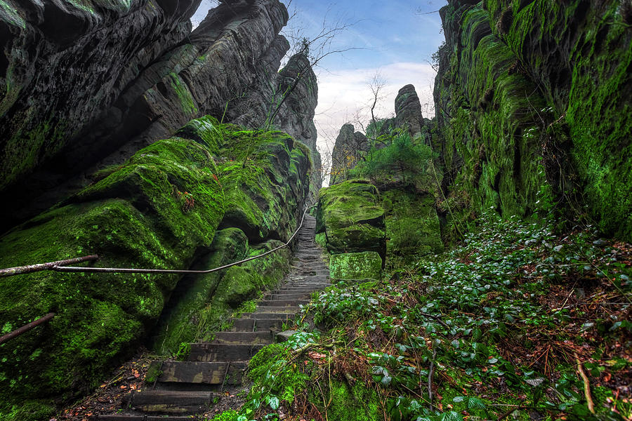 Steps to Pfaffenstein - Saxon Switzerland - Germany Photograph by Joana Kruse