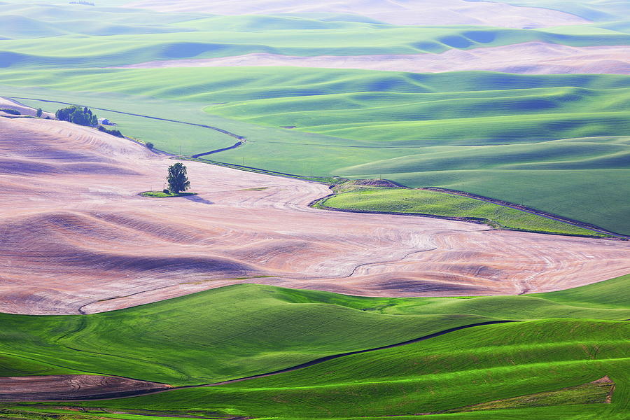 Steptoe Butte state park, WA Photograph by Alex Nikitsin - Fine Art America