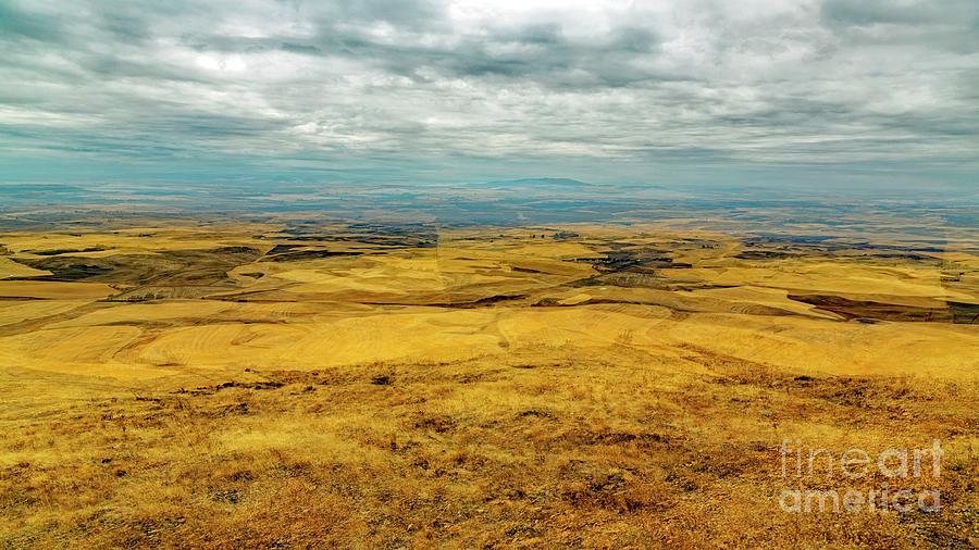 Steptoe Wheat Country Photograph by Jon Burch Photography