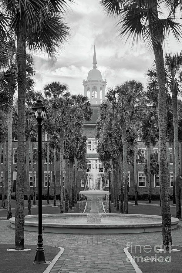 Stetson University Palm Court Fountain Photograph by University Icons