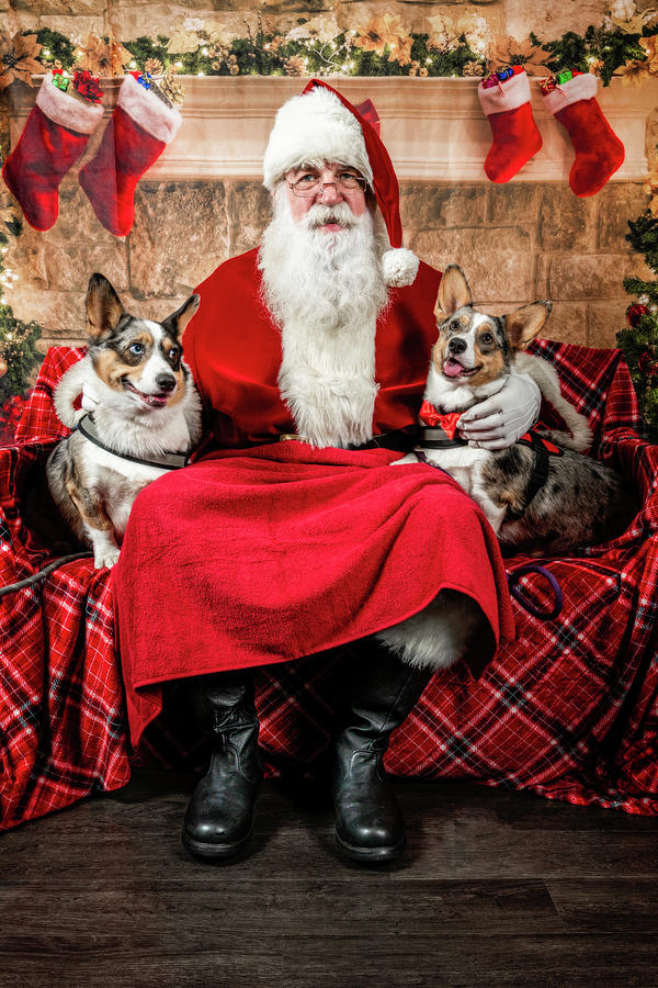 Steve-O and Sidney with Santa. Photograph by Christopher Holmes