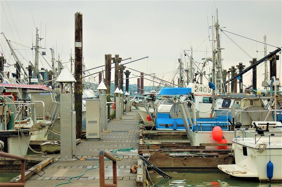 Steveston Fishing Village and Fishermans Wharf Market 15 Photograph by James Cousineau