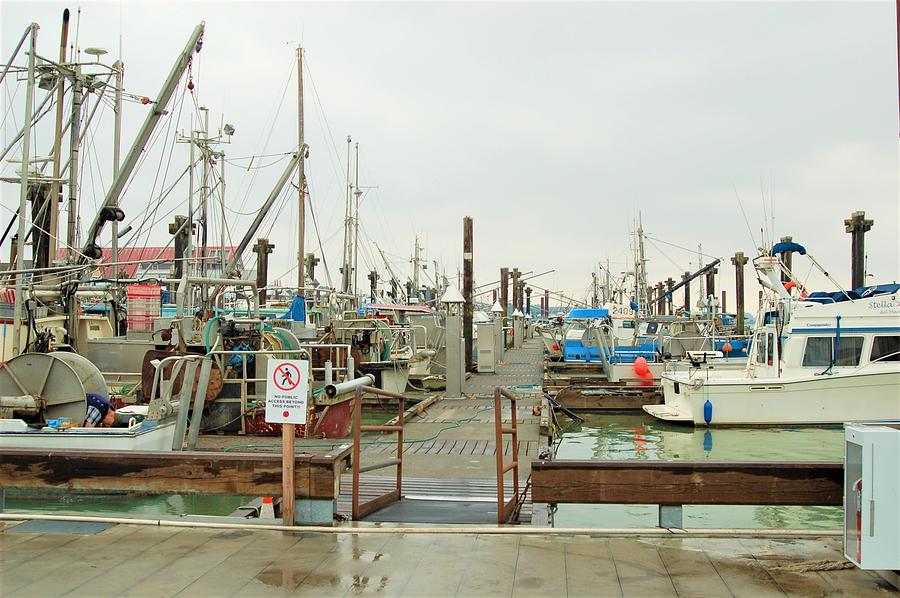 Steveston Fishing Village and Fishermans Wharf Market 16 Photograph by James Cousineau