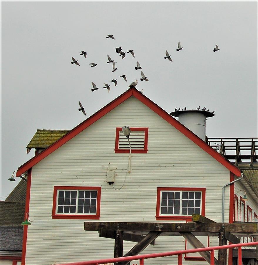 Steveston Fishing Village and Fishermans Wharf Market 19 Photograph by James Cousineau