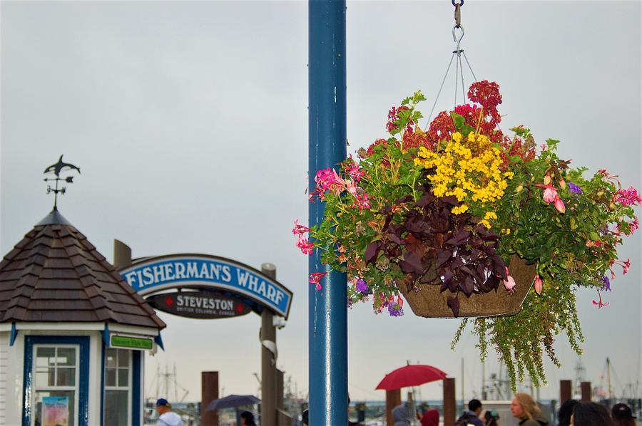 Steveston Fishing Village and Fishermans Wharf Market 31 Photograph by James Cousineau