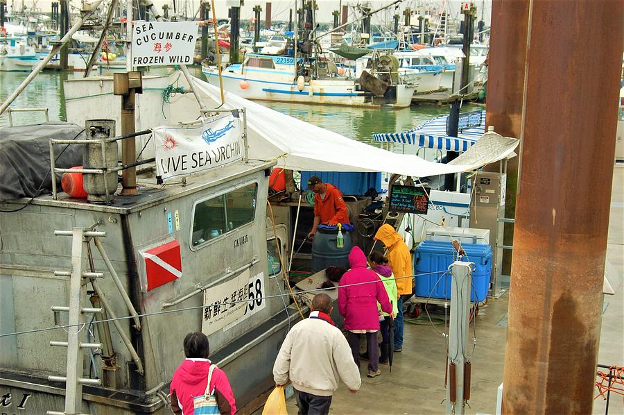 Steveston Fishing Village and Fishermans Wharf Market 34 Photograph by James Cousineau