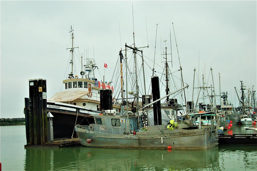 Steveston Fishing Village and Fishermans Wharf Market Photograph by James Cousineau