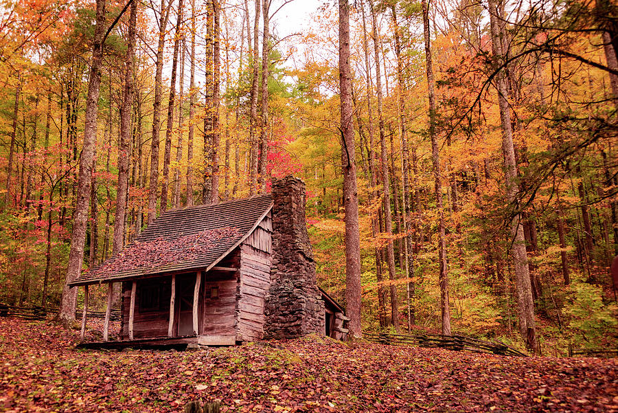 Stewart Cabin Photograph by Mike Waller - Pixels