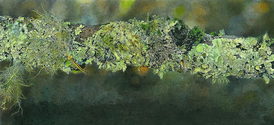 Stick Covered With Lichen Mixed Media by John Dyess