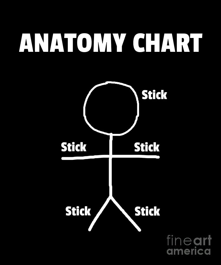 Stick Figure Anatomy Chart Funny Design Drawing by Noirty Designs - Pixels
