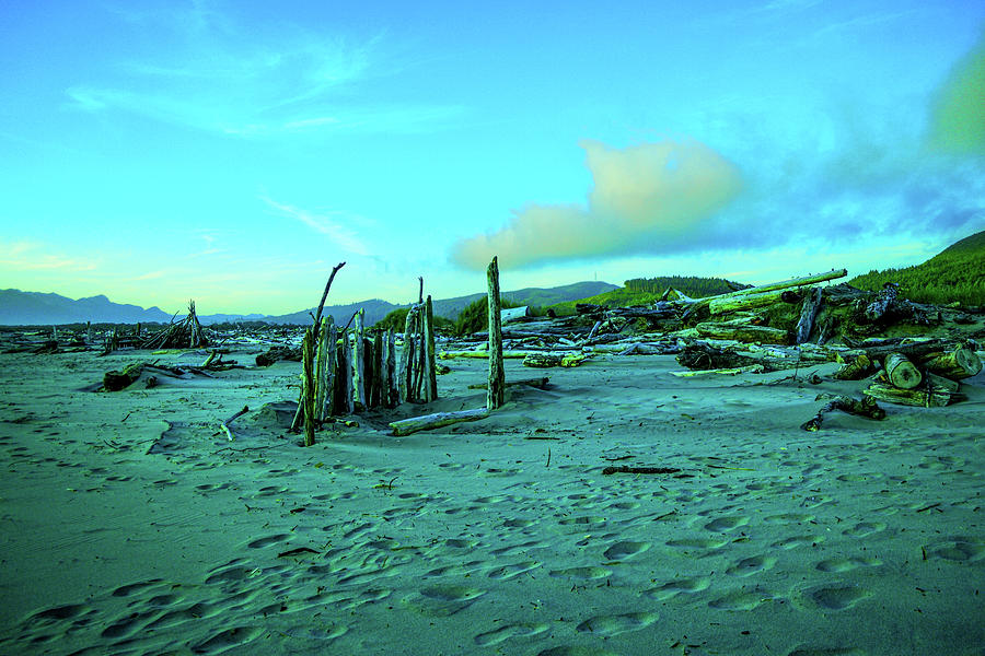 Stick Huts Along The Beach Photograph