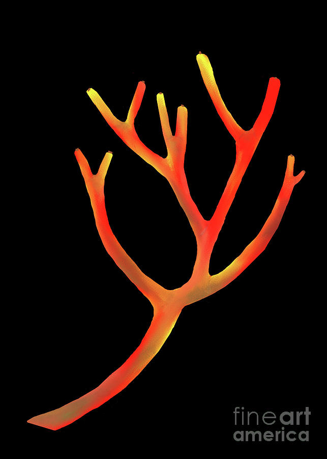Desert Digital Art - Stick on Fire Plant by Patricia Kilian