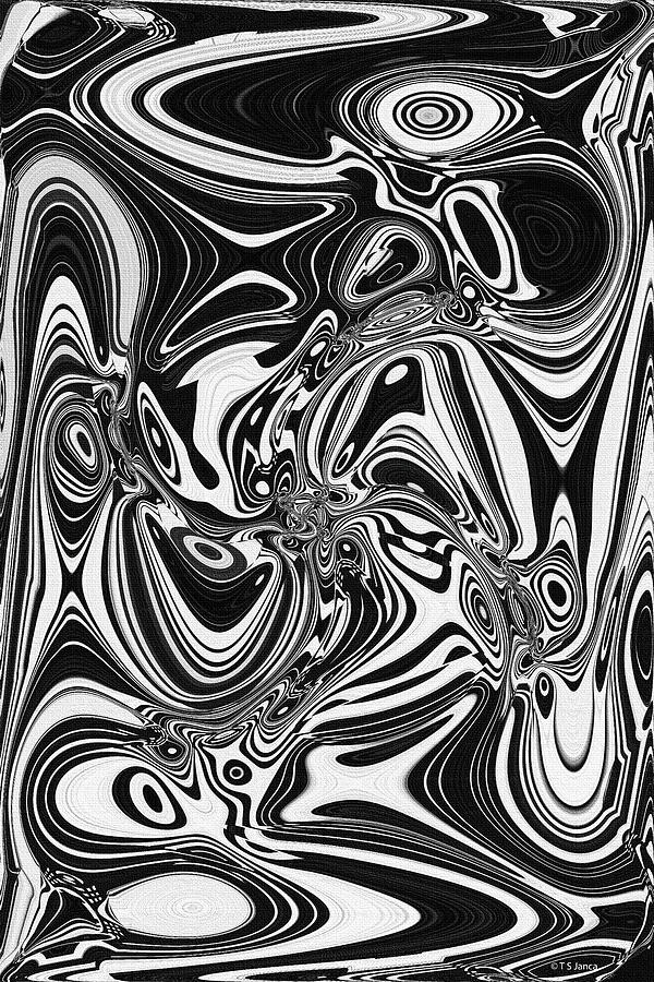 Sticks Abstract Black And White Digital Art by Tom Janca