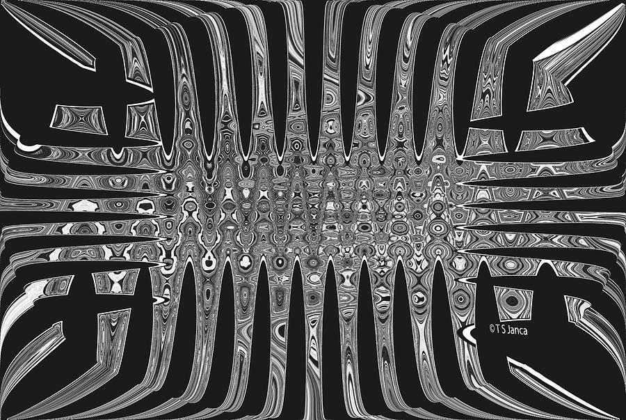 Sticks Black And White Abstract Digital Art by Tom Janca