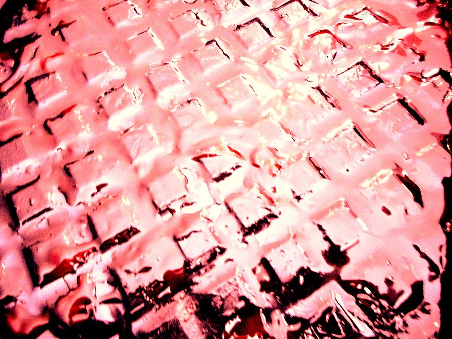 Sticky Red Photograph by Dietmar Scherf