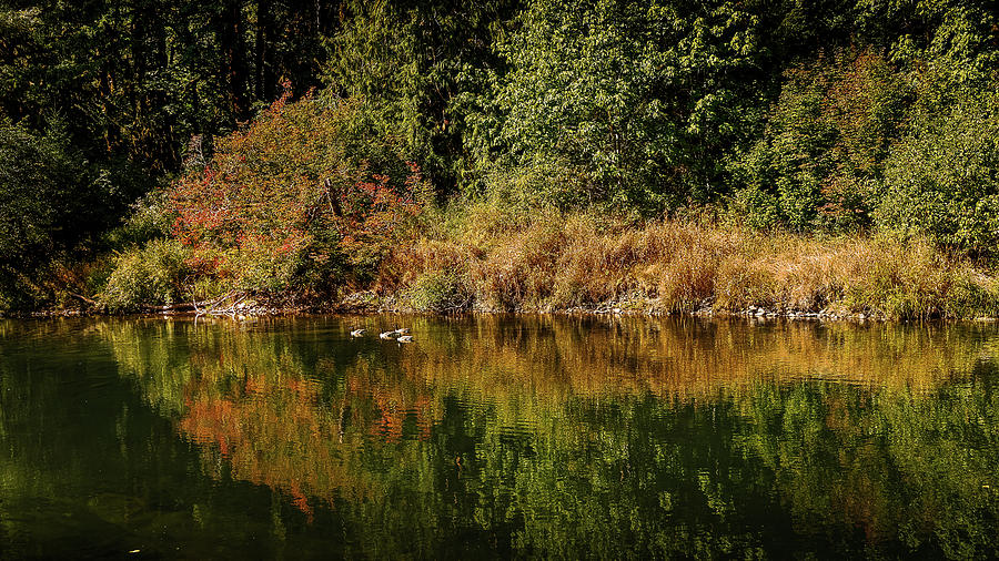 Still Autumn Waters Photograph by Bill Posner
