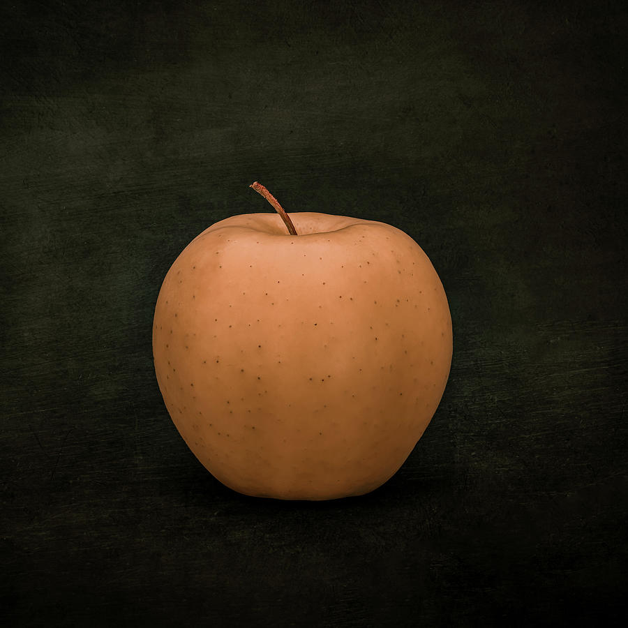 Still-Life 1 Photograph by Rudy Van Acker Still-Life 1 Photograph by Rudy Van Acker