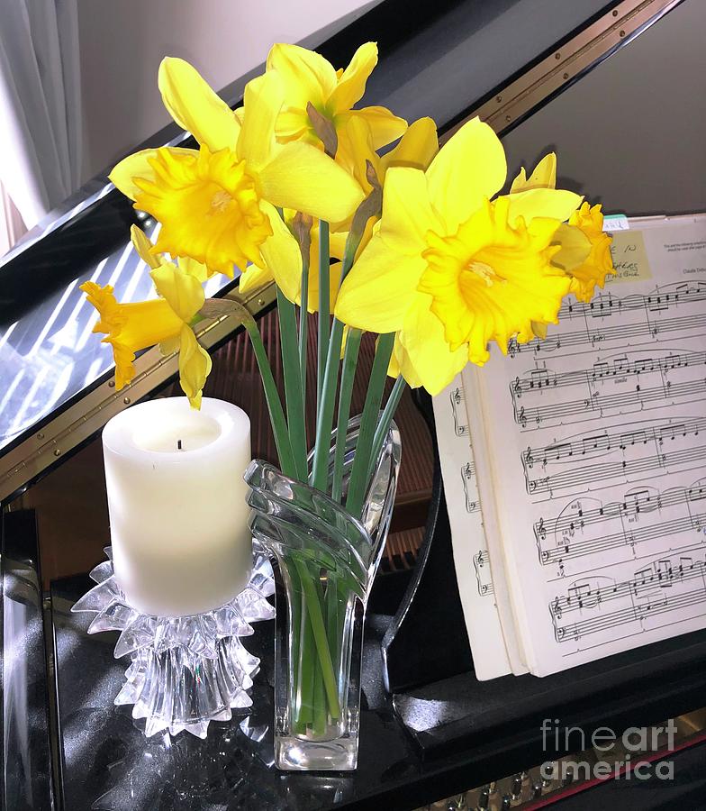 Still Life Daffodils on Piano in Clayton North Carolina Photograph by Catherine Ludwig Donleycott