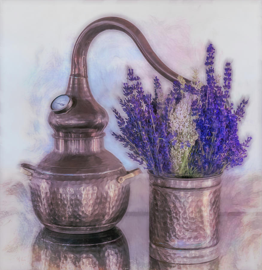 Still Life moment with Lavender Photograph by Sylvia Goldkranz