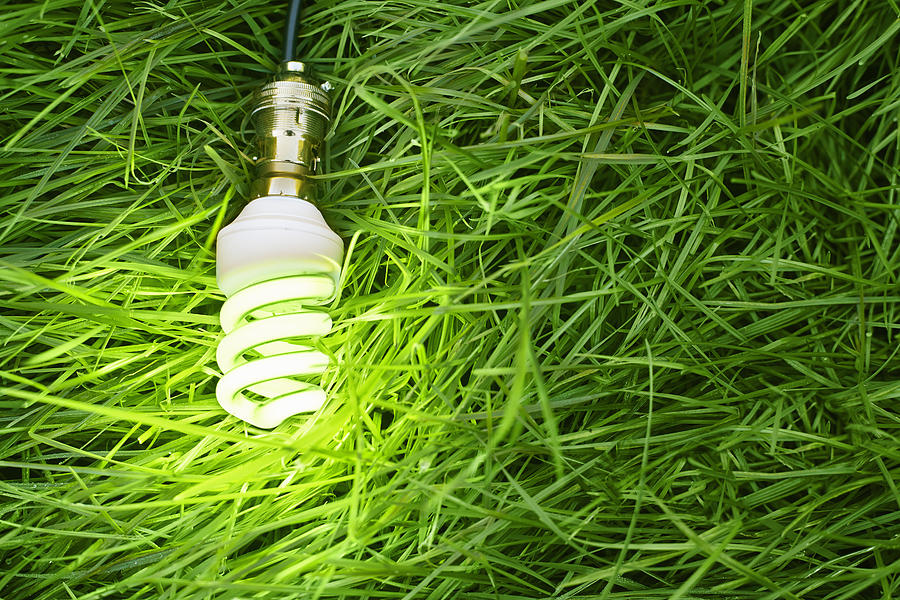 Still life of energy saving lightbulb on grass Photograph by J J D