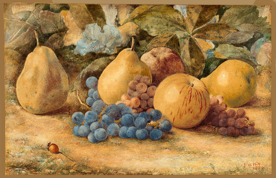 Apple Drawing - Still Life of Fruit, Apples, Pears, and Grapes on Ground by John William Hill