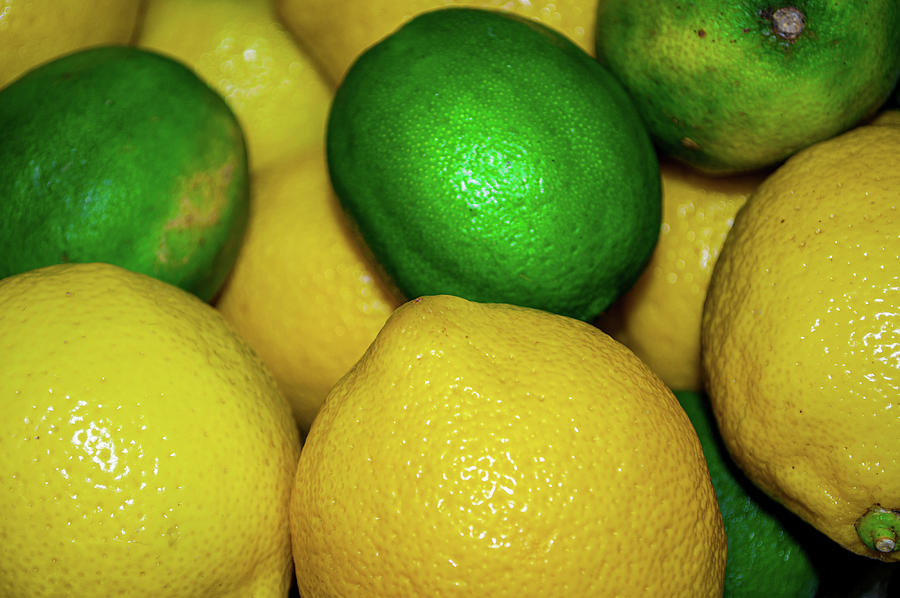 Lemon Photograph - Still Life of fruit by Robert Estes