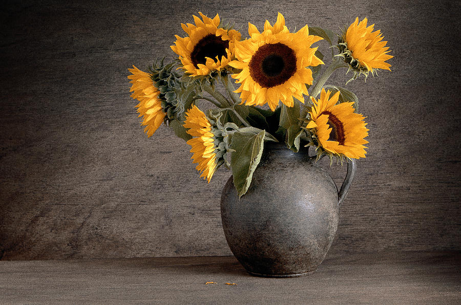 Still Life Of Sunflowers In Vase Photograph by Bob Elsdale
