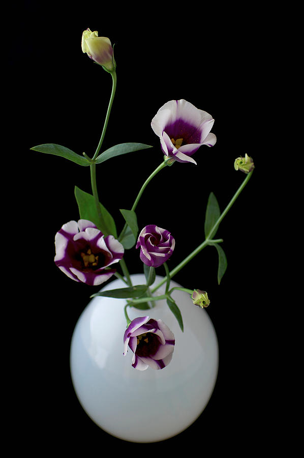 Still life of white vase with purple flowers Photograph by Koji Hanabuchi