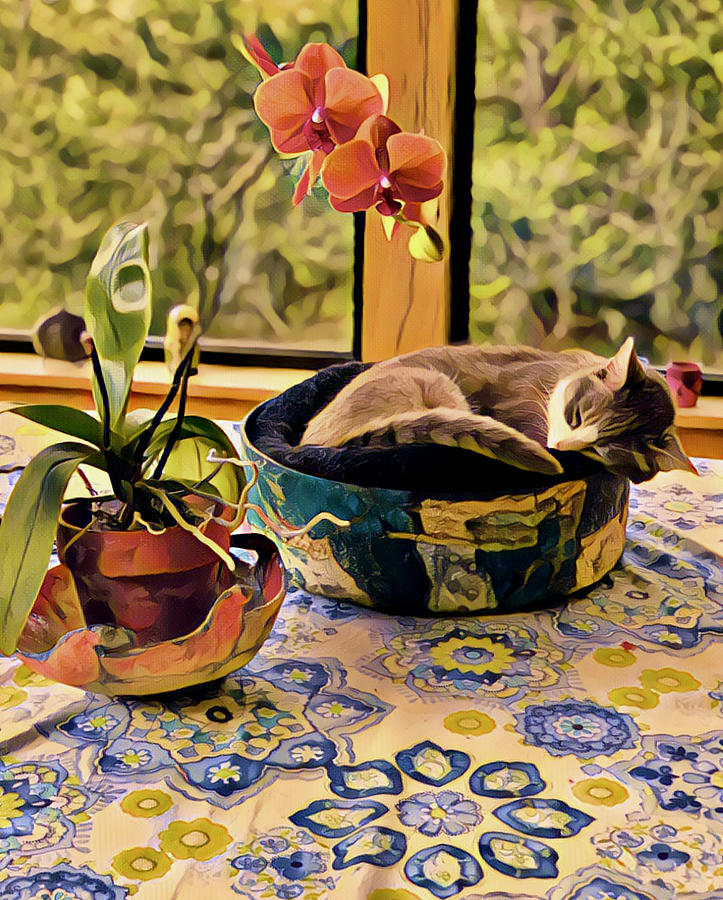 Still Life Orange Orchid With Sleeping Kitty In Cat Bed Photograph by Debra Amerson