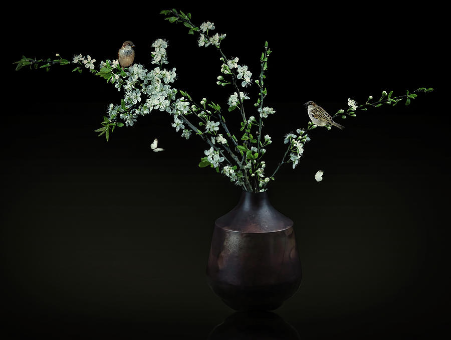 Still life white blossom in vase Digital Art by Marjolein Van Middelkoop