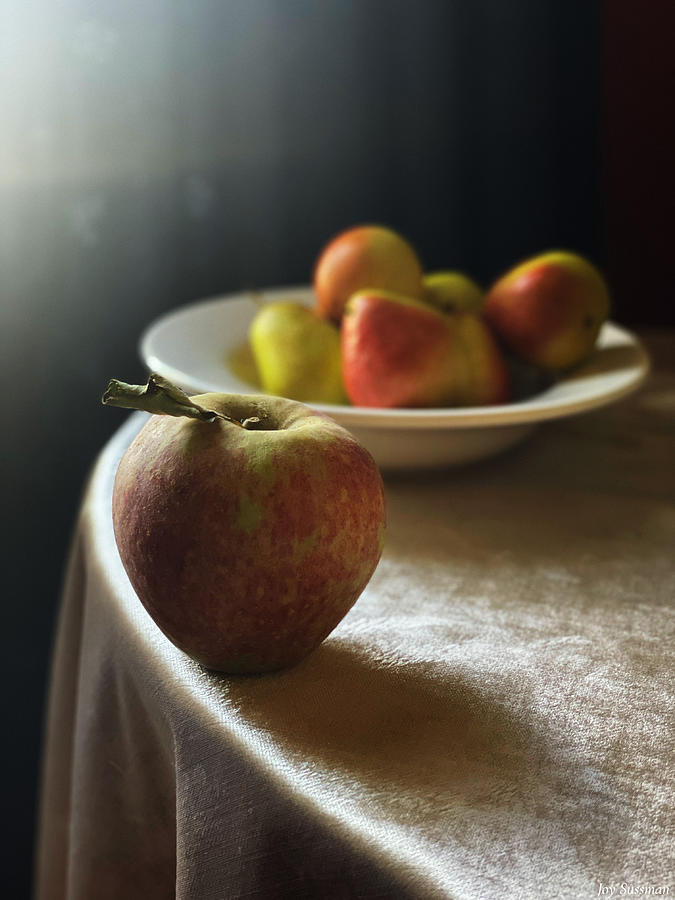 Still Life with Autumn Fruit on Velvet by Joy Sussman Photograph by Joy Sussman