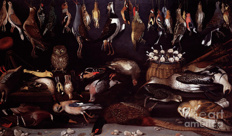 Still Life With Birds, Painting attributed to Michelangelo Merisi dit Caravaggio  Painting by Caravaggio