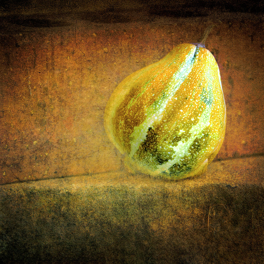 Still Life With Gourd Photograph by Ann Powell