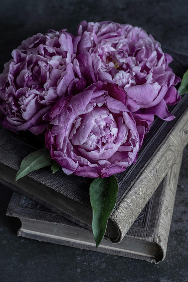 Still life with old books and pink peony Photograph by Jaroslaw Blaminsky
