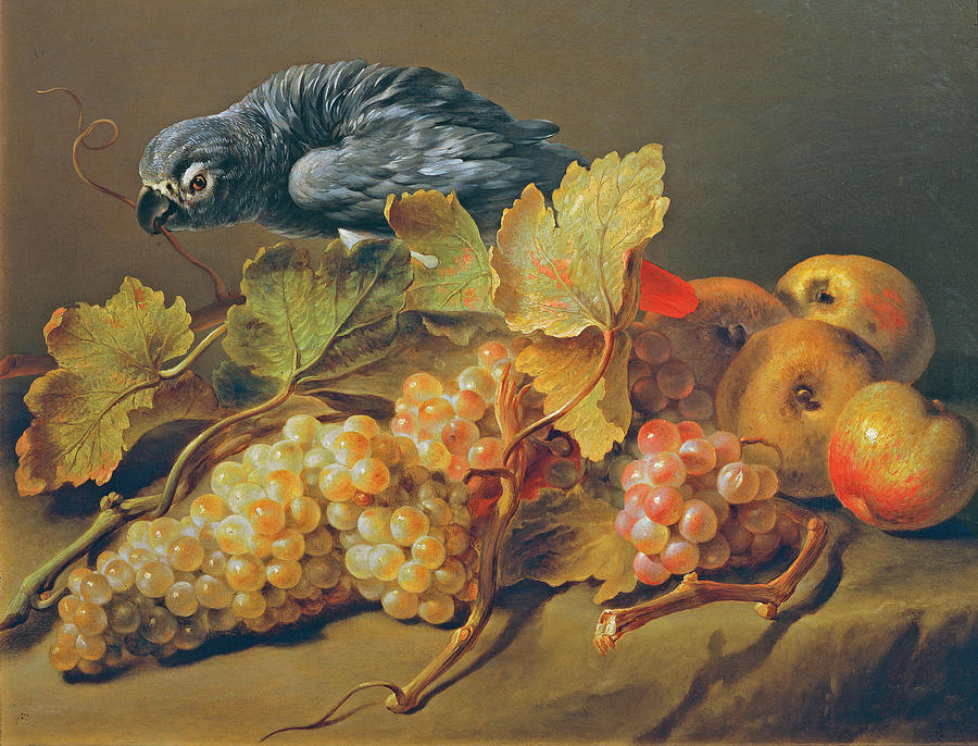 Still life with parrot and grapes Painting by Erasmus von Engert