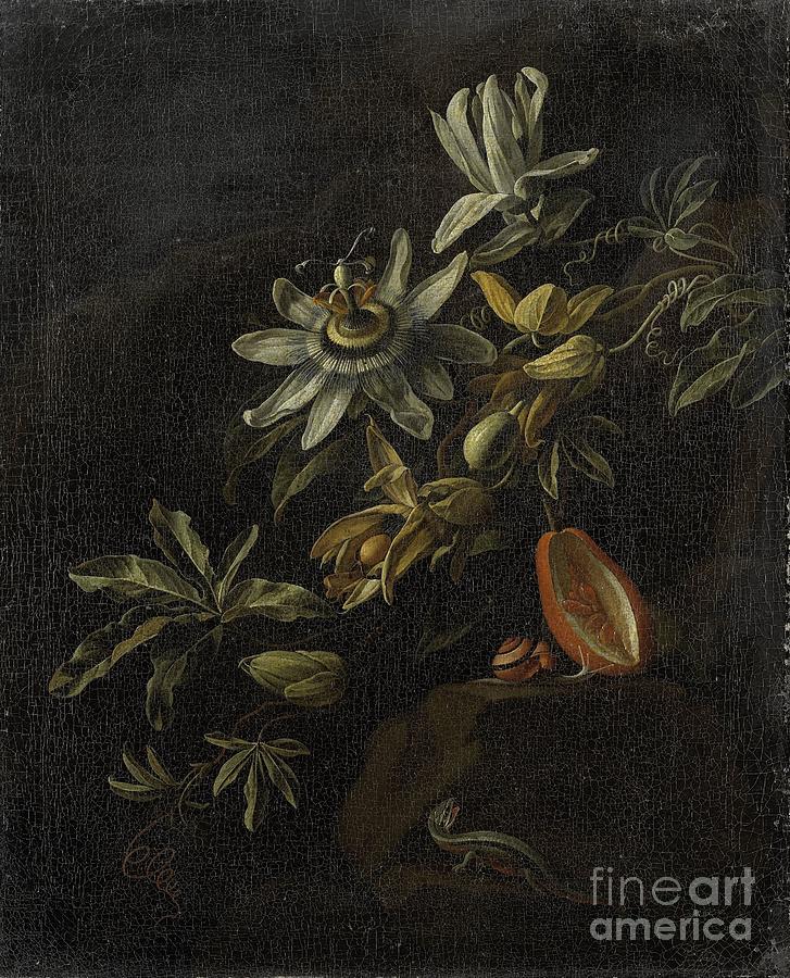 Still Life with Passionflowers, Elias van den Broeck, 1670-1708 Painting by Shop Ability