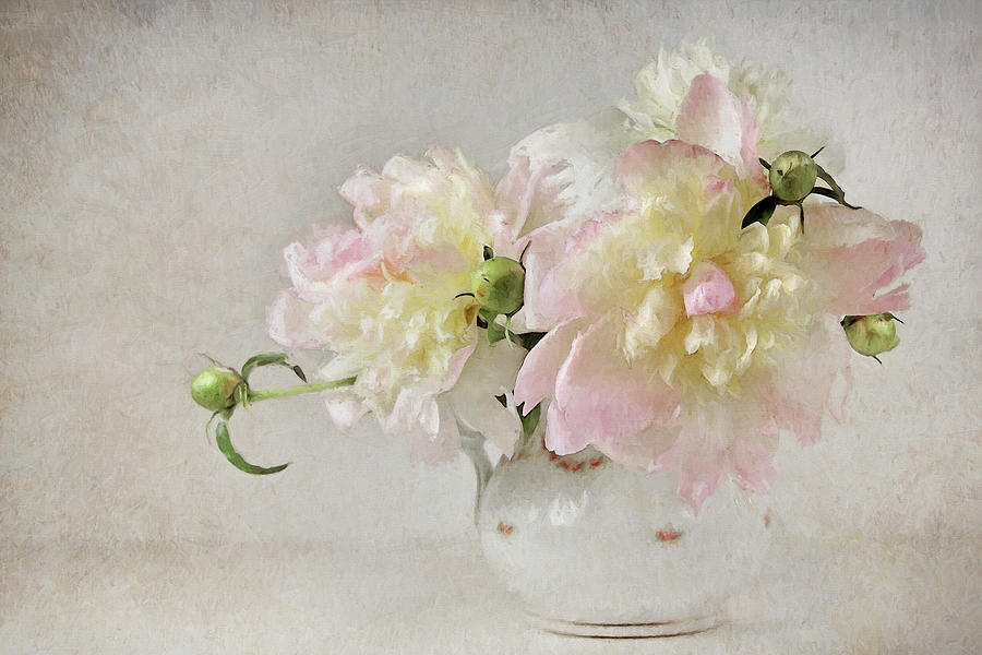 Still Life With Peonies Photograph by Karen Lynch