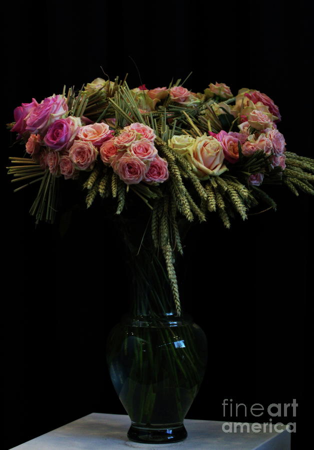 Still life with pink roses and ears of wheat  Photograph by Amalia Suruceanu