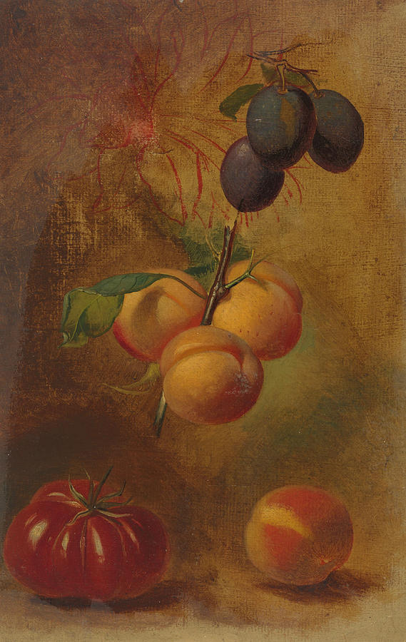 Still Life with Plums, Apricots and Tomato Painting by Albertus Steenbergen