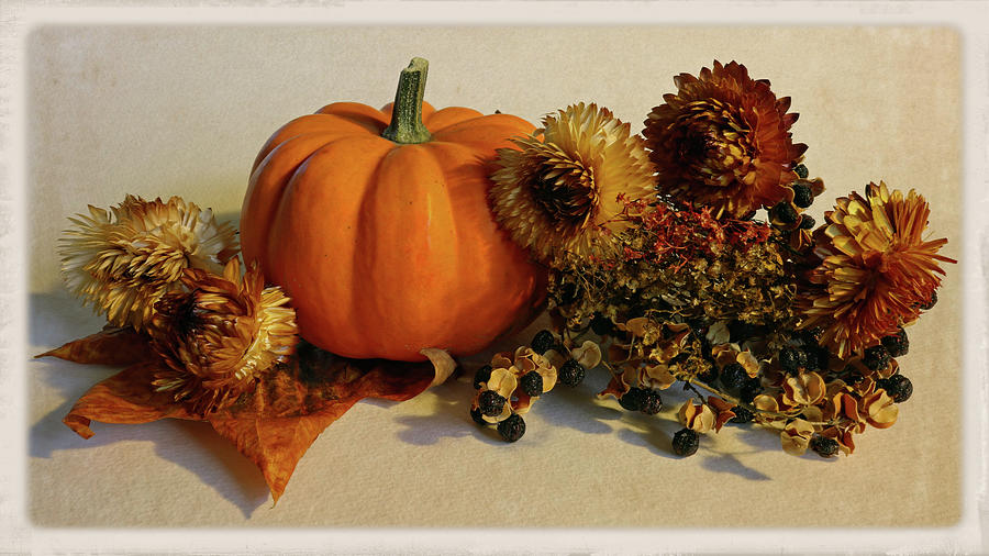 Still Life with Pumpkin and Dried Flowers Photograph by Scott Kingery