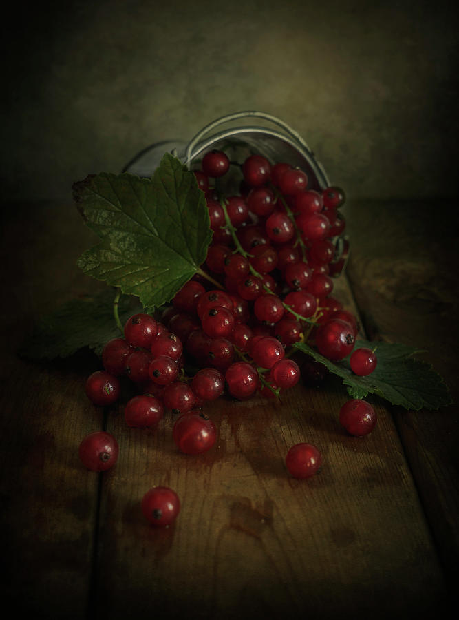 Still life with red currants Photograph by Jaroslaw Blaminsky