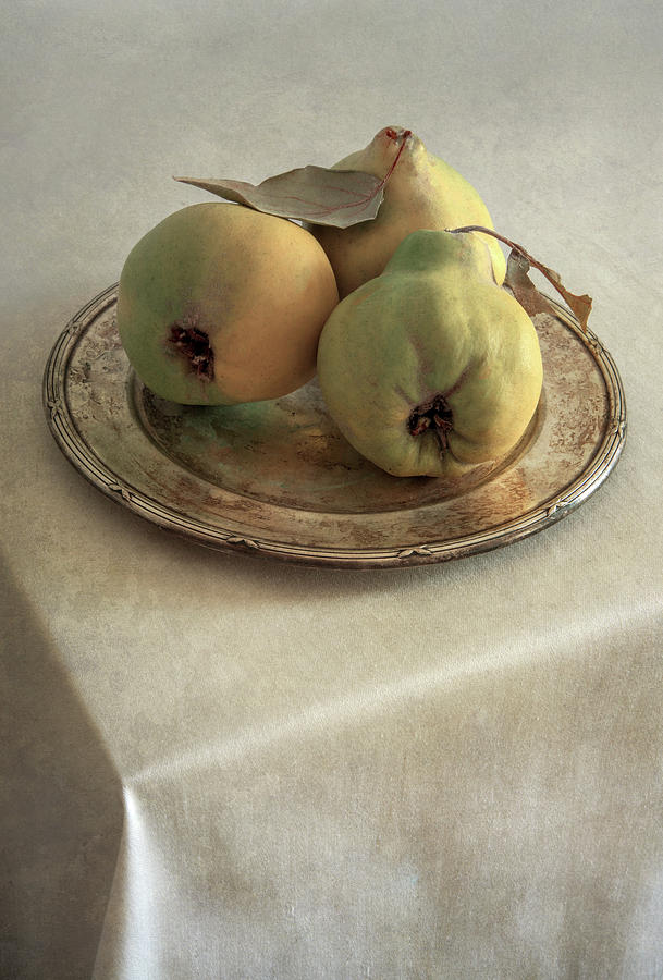 Still life with ripe quinces Photograph by Jaroslaw Blaminsky
