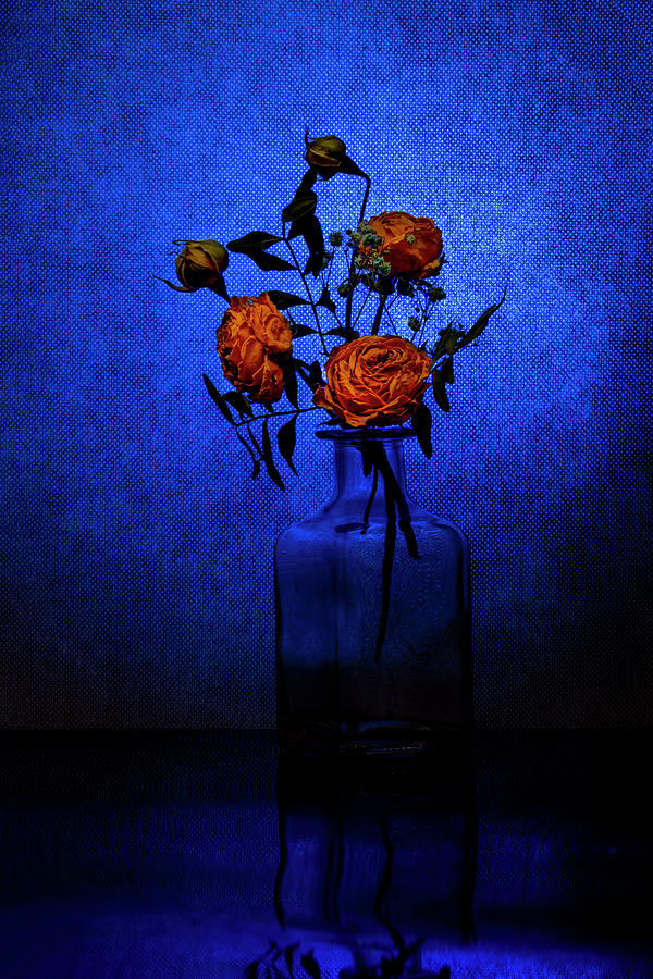 Still life with roses on a blue background Pyrography by Valentin ...